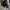 Oversized leren damesjas voor trendy look – Zayra