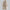 Casual trenchcoat met capuchon en ceintuur voor dames – Livia