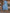 Denim dames jurk los casual stijlvol comfortabel – Avira