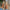 Stijlvolle orthopedische ballerina's voor dames – Verona