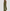 Tweedelige Set met Tailored Vest en Wijdere Broek – Nova