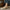 Orthopedische dames sandalen met verstelbare pasvorm en comfort - Loretta