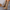 Elegante en duurzame dames cowboylaarzen – Cooper