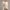 Asymmetrische Gedrapeerde Damestrui met Moderne Look – Sophie
