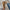 Orthopedische vintage loafers met strik – Lise