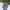 Mini Jurk met Off-Shoulder Mouwen in Luchtige Stof – Light Luxury