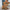 Orthopedische vintage loafers met strik – Lise