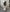 Bruine dames blazer in suède look met stretch – Romina