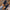 Orthopedische comfortabele schoenen voor stijlvol lopen – Renske