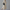 Zomerjurk dames casual vintage luchtig - Sophie