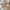 Stijlvolle orthopedische ballerina's voor dames – Verona