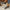 Elegante dames sneakers met verhoogde zool – Lia