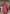 Elegante paillettenjurk voor dames – Valentina