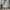 Elegante damesjas met tijdloos design – Celeste