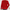Gebreide damestrui met kabelpatroon en knoopdetail – Evelora