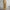 Elegante bloemenjurk met slank silhouet – Elianna