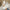 Elegante dames sneakers met verhoogde zool – Lia