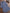 Bloemen Overhemd Dames Zomer Katoen Comfort – Velinna
