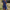 Flowy Midi Jurk met Bloemenprint voor Dames – Els