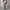 Luxe cashmere dames set met turtleneck en broek - Elise