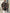 Fleece winterjas met panterprint dames – Romy