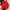 Comfortabele en elegante winterjas voor dames – Sophie
