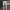Geruite Chino Broek voor Heren – Tobias