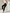 Trendy damesbroek met flared pijpen en perfecte pasvorm – Elise