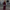 Dubbelzijdige wolmix trenchcoat voor dames – Ruby