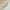 Dames Wijde Pijpen Tailored Broek Effen – Victoria