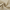 Dames Wijde Pijpen Tailored Broek Effen – Victoria
