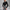 Dames Wijde Pijpen Jeans Luipaardprint – Sophia