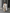 Dames Wijde Pijpen Tailored Broek Effen – Victoria