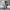 Trendy wijde pijpen jeans met luipaardprint – Naomi