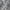 Dames transparante brokaat blouse met elegante details – Sofia