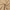 Dames Oversized Suède Trenchcoat Lichtgewicht – Amelia