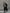 Dames lange winddichte puffer parka met zakken – Nora