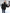 Dames kort pufferjack met ceintuur en warme voering – Naomi