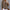Elegante Voorjaarsblouse met Moderne Details – Livia