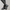 Trendy dameslaarzen met perfecte pasvorm – Martens
