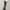 Heren cargo broek met comfortabele pasvorm – Adrian