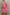Zomerse dames set met print en oversized pasvorm – Sorella
