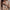 Klassieke Geruite Blazer met Moderne Pasvorm – Elise