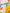 Tropische dames set met palmprint en zomerstijl – Alora