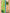 Tropische dames set met palmprint en zomerstijl – Alora