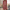 Elegante damesjurk met flatterende pasvorm – Charlotte