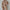 Comfortabel trainingspak met elastische taille voor dames – Elsie