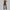 Dames jumpsuit met flairpijpen en open rug – Selvaya