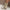 Dames hoge cowboylaarzen met rits – Sophia
