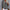 Elegante Voorjaarsblouse met Moderne Details – Livia